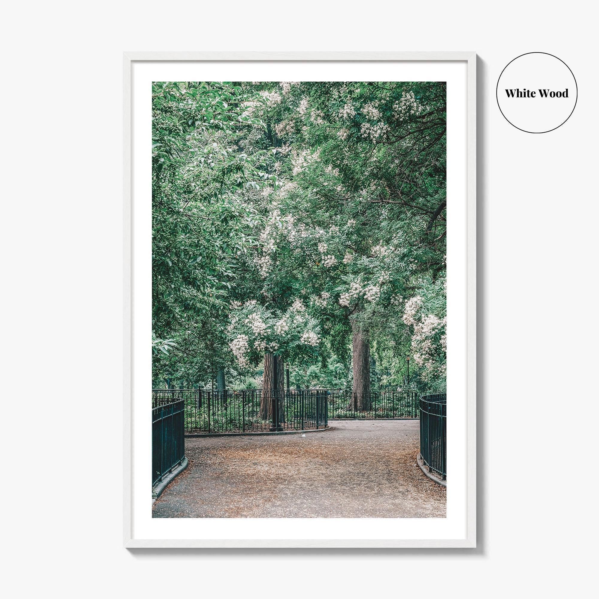 Tompkins Square Park Fine Art Photo Print, East Village NYC, Manhattan Poster, USA