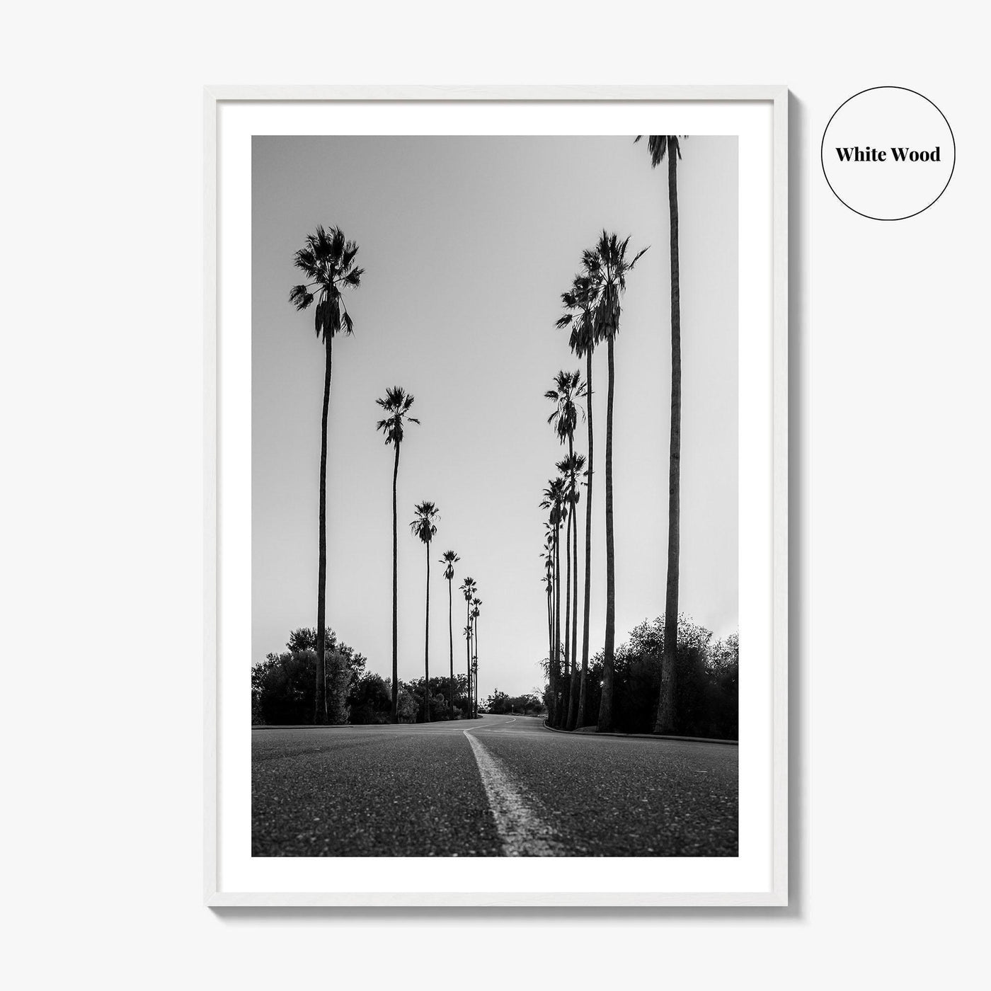 Elysian Park Black and White Fine Art Photo Print, Los Angeles California Poster