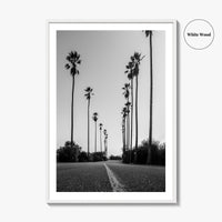 Elysian Park Black and White Fine Art Photo Print, Los Angeles California Poster