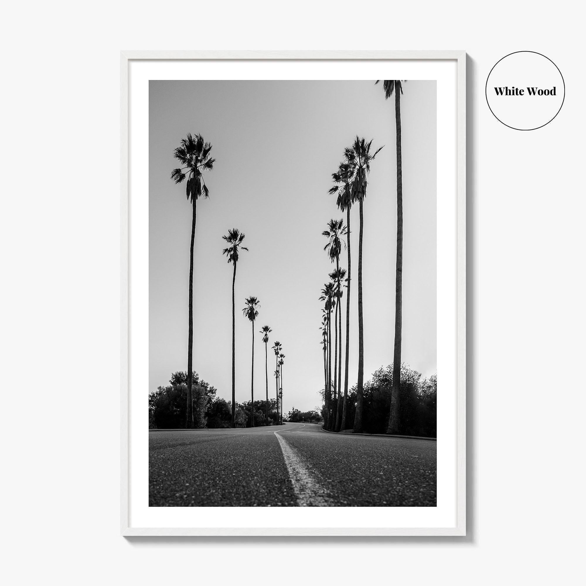 Elysian Park Black and White Fine Art Photo Print, Los Angeles California Poster