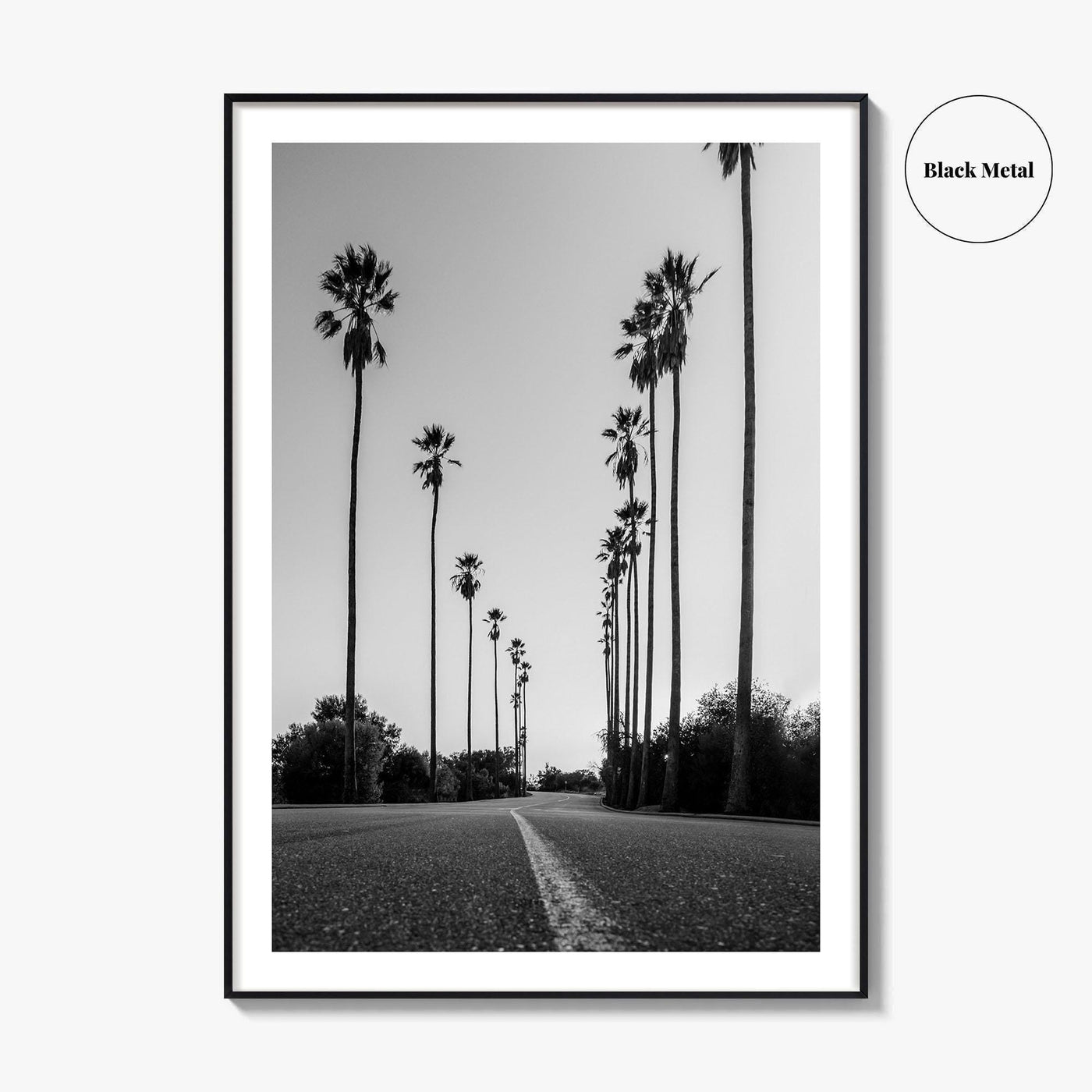 Elysian Park Black and White Fine Art Photo Print, Los Angeles California Poster