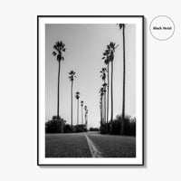 Elysian Park Black and White Fine Art Photo Print, Los Angeles California Poster