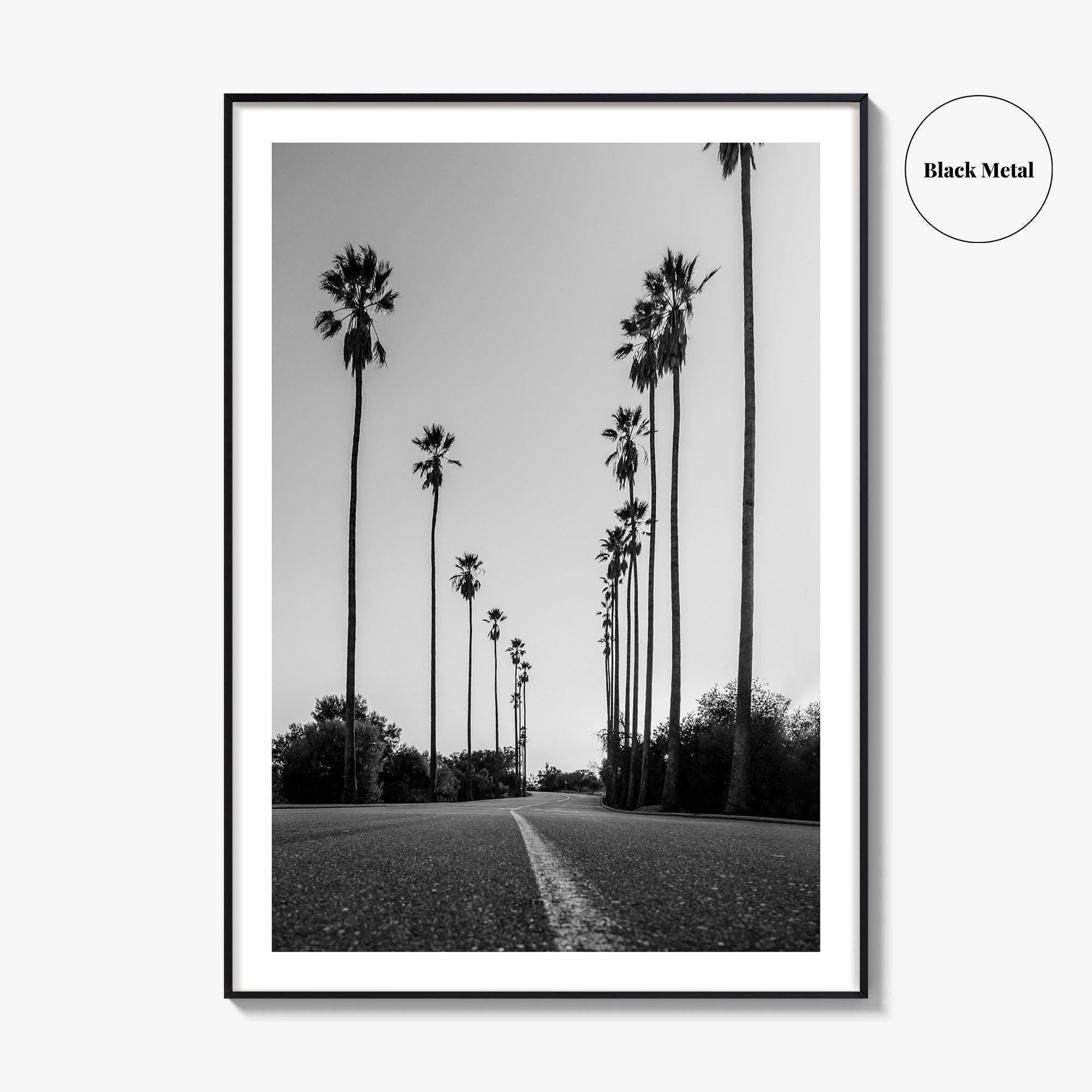 Elysian Park Black and White Fine Art Photo Print, Los Angeles California Poster