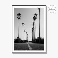 Elysian Park Black and White Fine Art Photo Print, Los Angeles California Poster