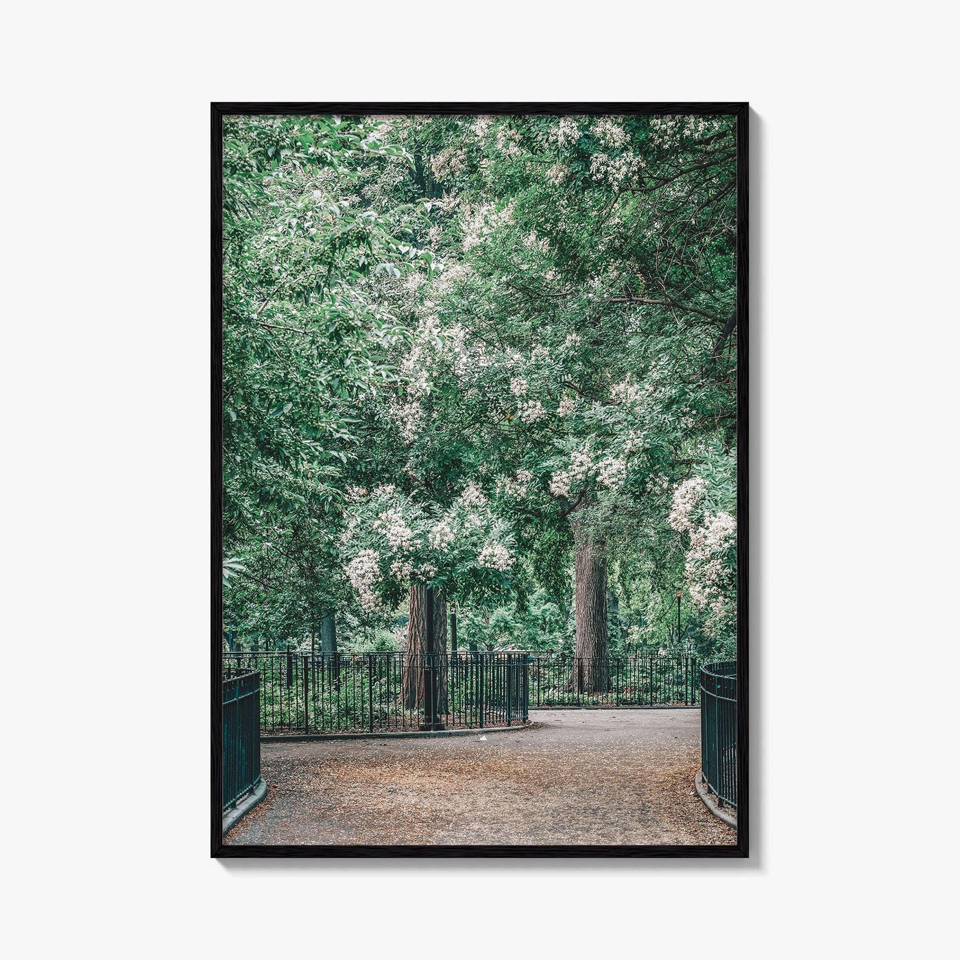 Tompkins Square Park Fine Art Photo Print, East Village NYC, Manhattan Poster, USA