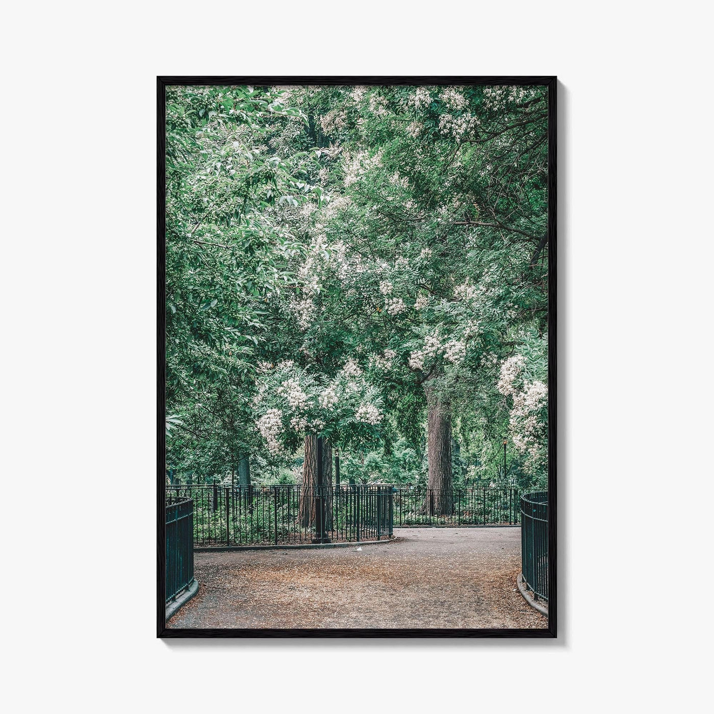 Tompkins Square Park Fine Art Photo Print, East Village NYC, Manhattan Poster, USA