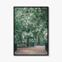 Tompkins Square Park Fine Art Photo Print, East Village NYC, Manhattan Poster, USA