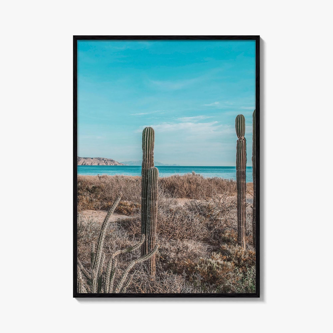 La Paz Fine Art Photo Print, Baja California Sur, Sea of Cortez Mexico Poster