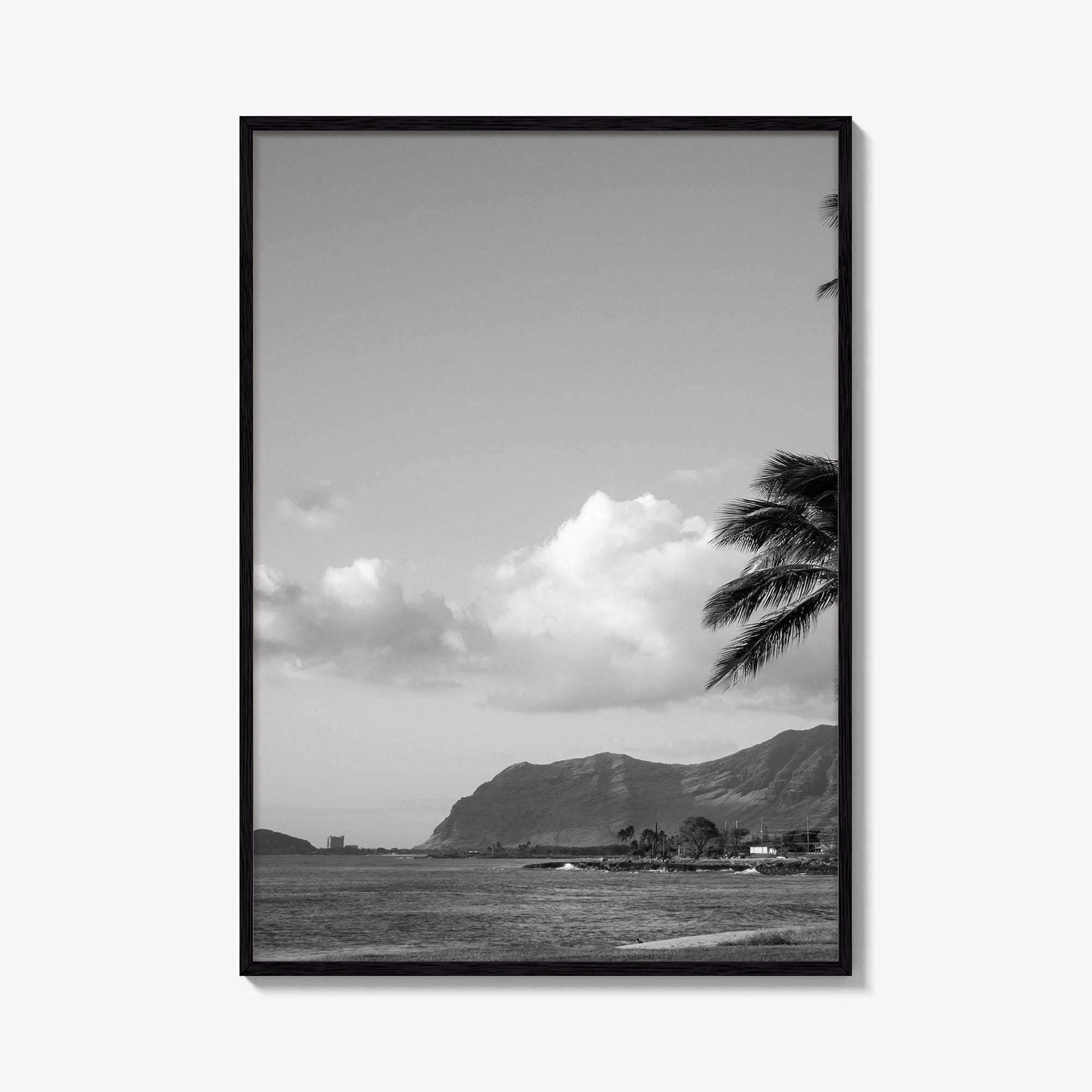 Oahu Black and White Fine Art Photo Print, Hawaii Coast Palm Trees, Wall Poster
