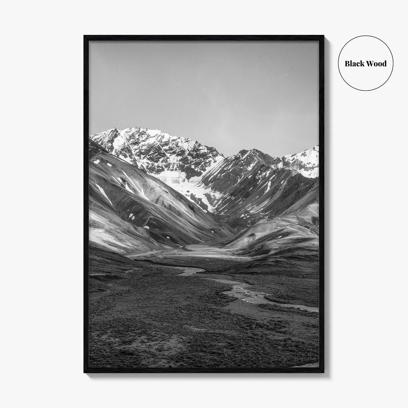 Denali National Park Black and White Fine Art Photo Print, Alaska, USA Poster