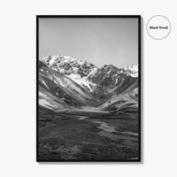 Denali National Park Black and White Fine Art Photo Print, Alaska, USA Poster