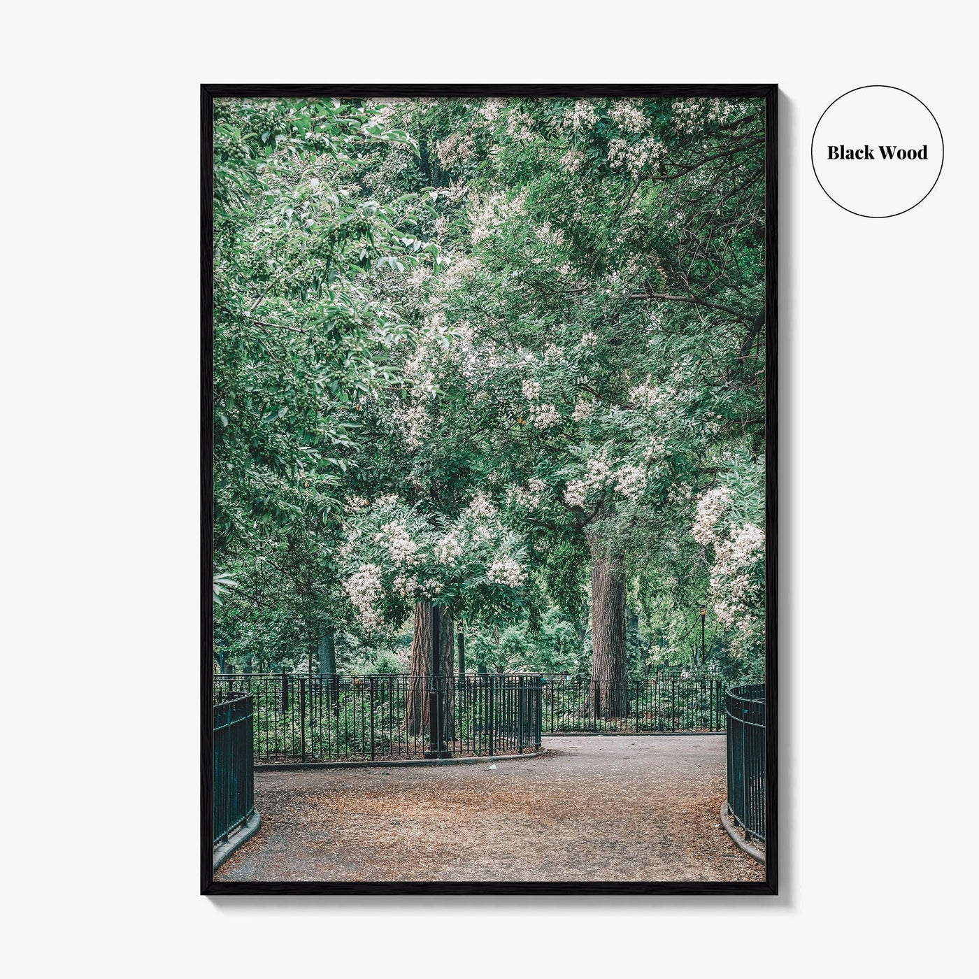Tompkins Square Park Fine Art Photo Print, East Village NYC, Manhattan Poster, USA