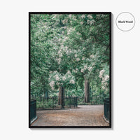 Tompkins Square Park Fine Art Photo Print, East Village NYC, Manhattan Poster, USA