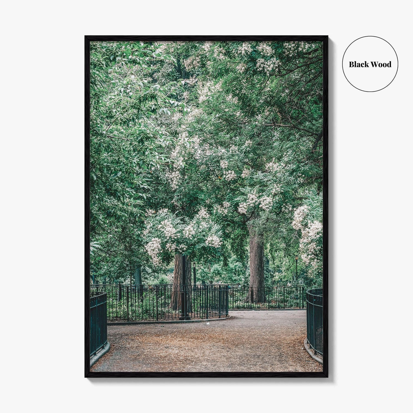 Tompkins Square Park Fine Art Photo Print, East Village NYC, Manhattan Poster, USA