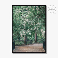 Tompkins Square Park Fine Art Photo Print, East Village NYC, Manhattan Poster, USA