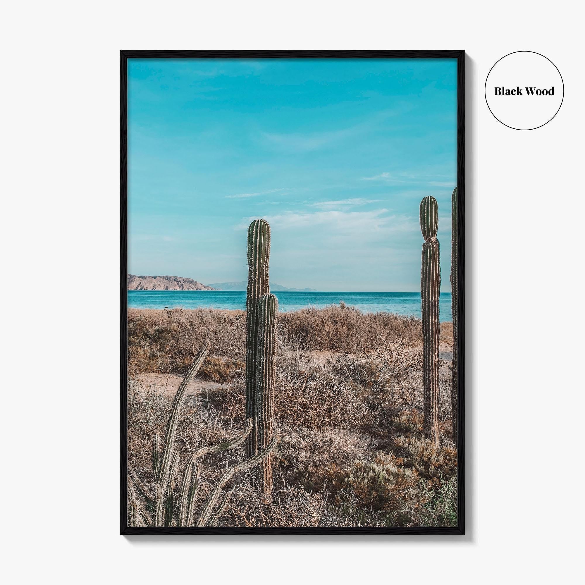 La Paz Fine Art Photo Print, Baja California Sur, Sea of Cortez Mexico Poster