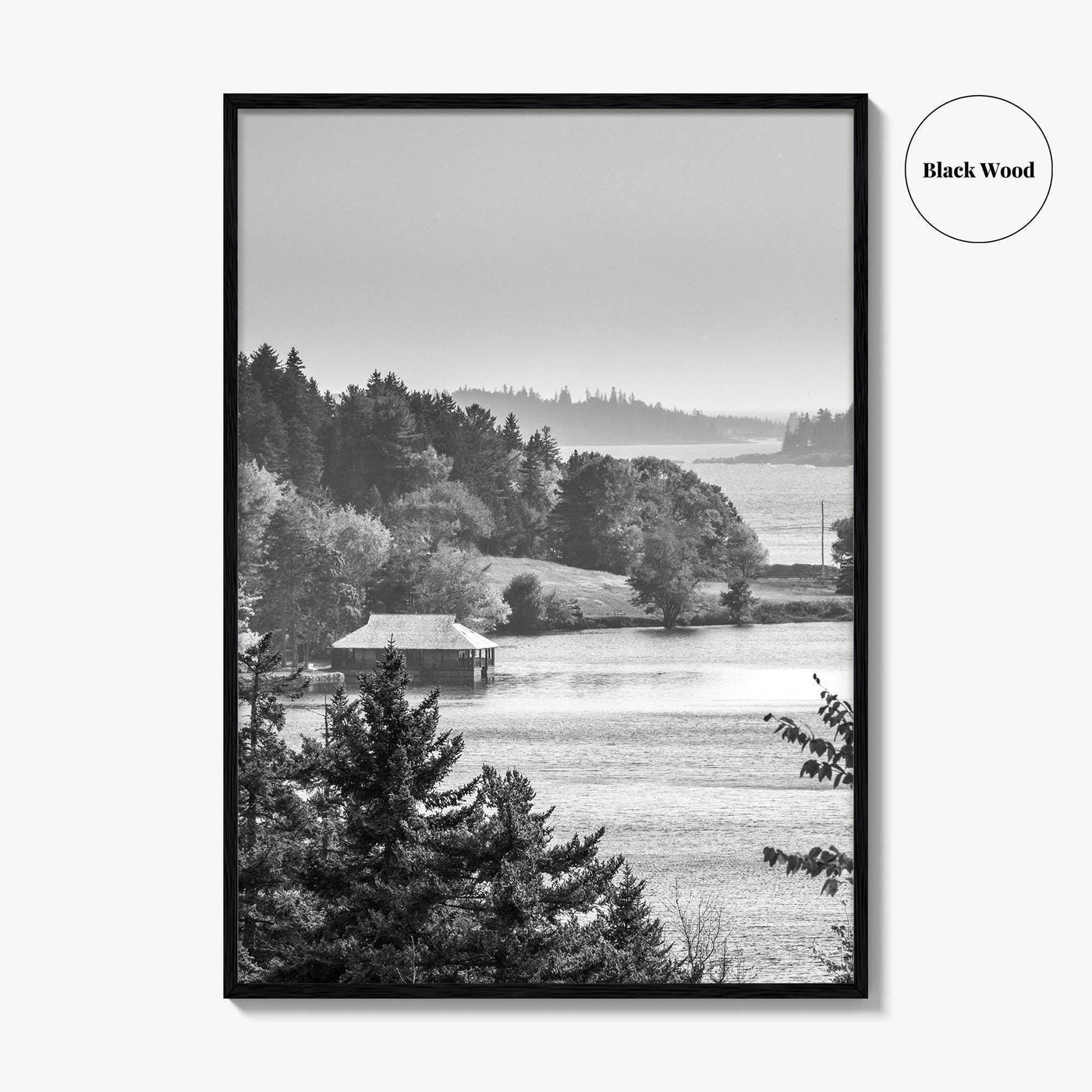 Acadia National Park Black and White Fine Art Photo Print, Bar Harbor Maine Poster