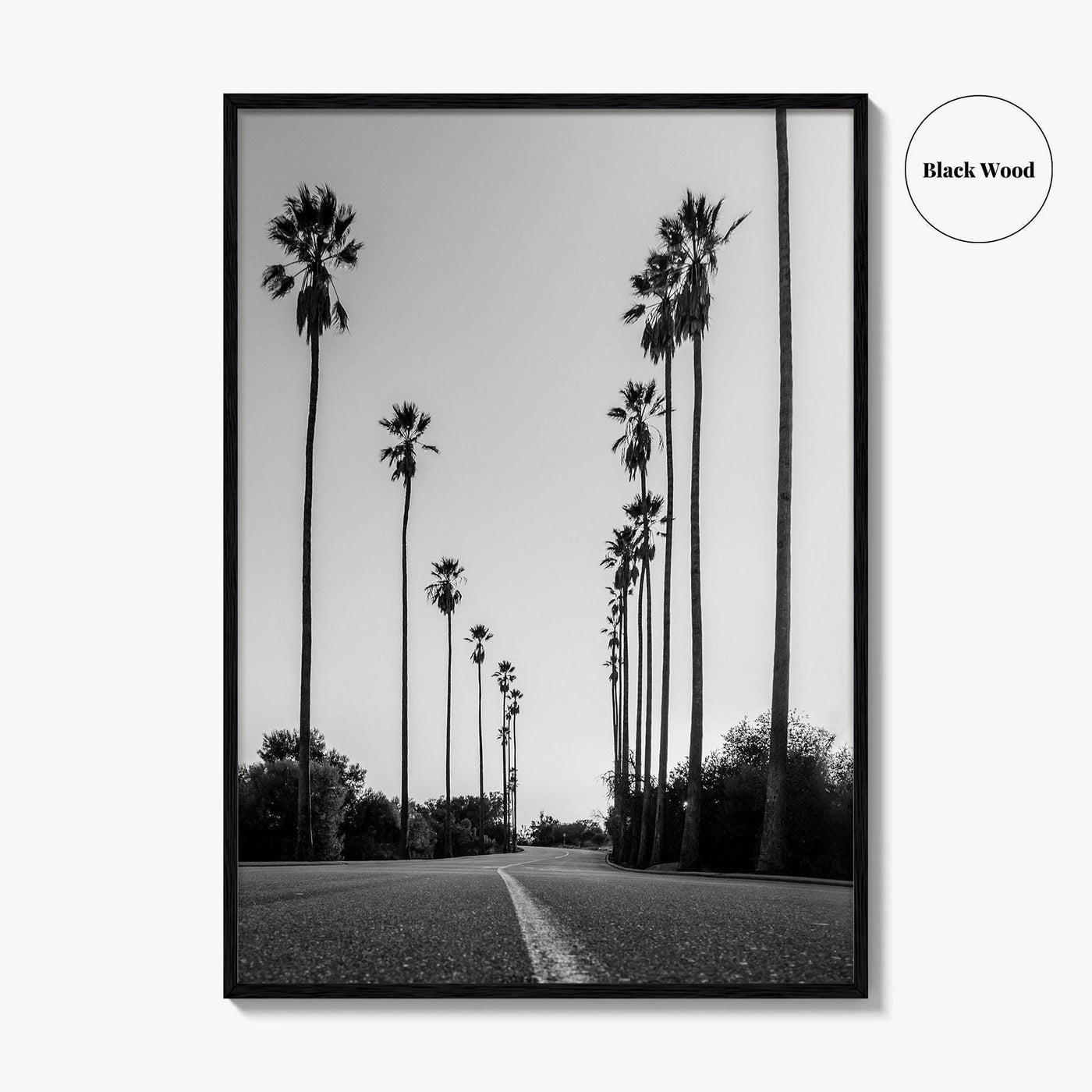 Elysian Park Black and White Fine Art Photo Print, Los Angeles California Poster