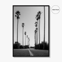 Elysian Park Black and White Fine Art Photo Print, Los Angeles California Poster