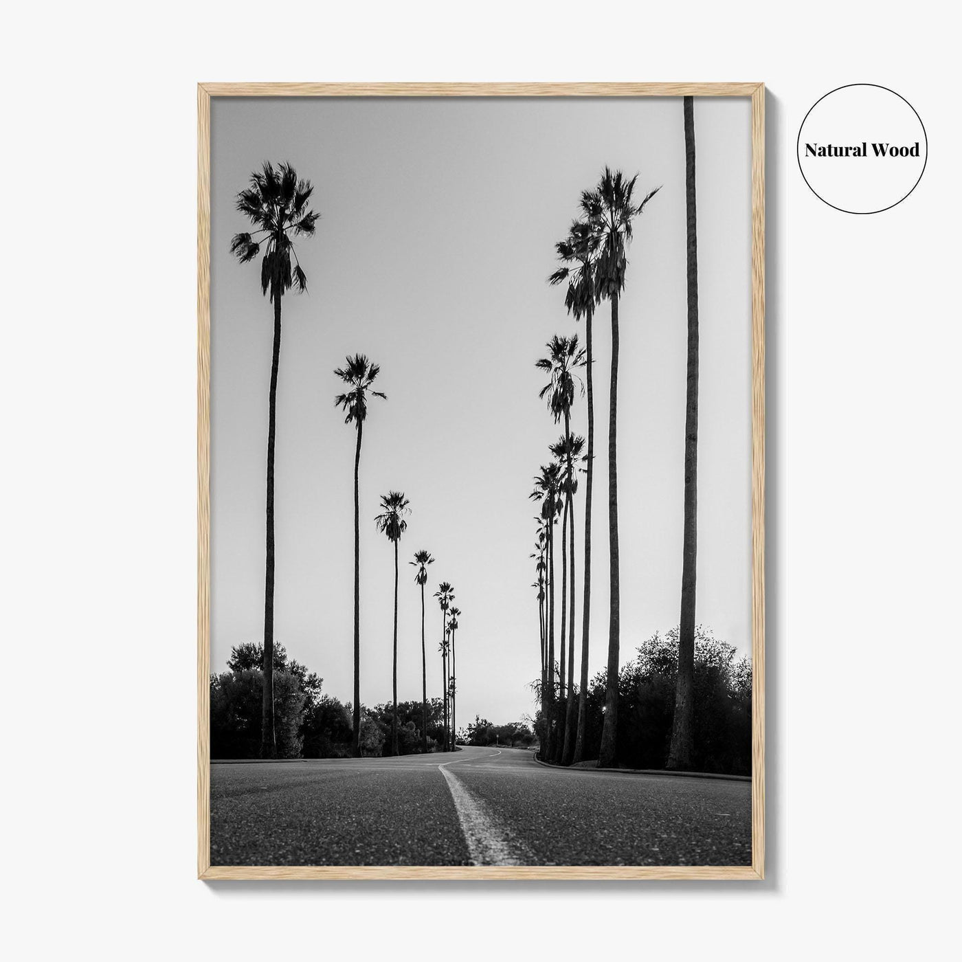 Elysian Park Black and White Fine Art Photo Print, Los Angeles California Poster
