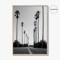 Elysian Park Black and White Fine Art Photo Print, Los Angeles California Poster