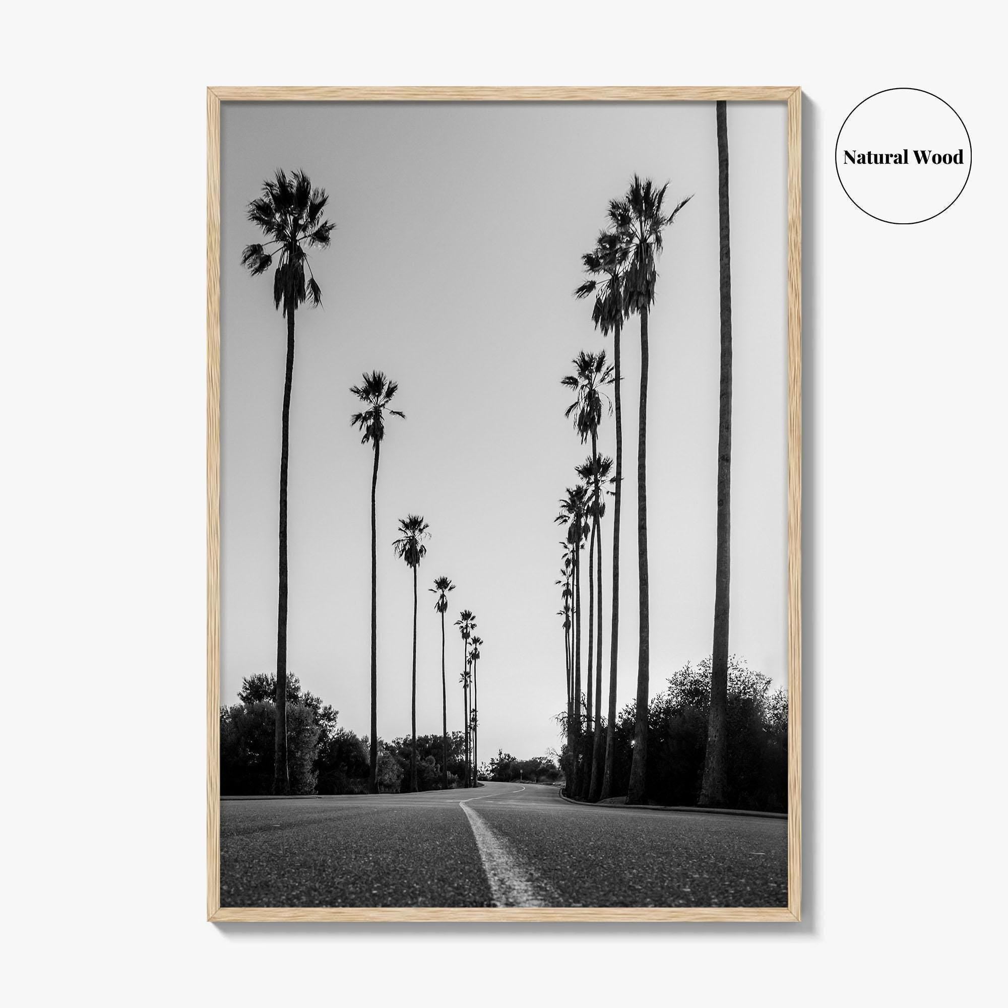 Elysian Park Black and White Fine Art Photo Print, Los Angeles California Poster