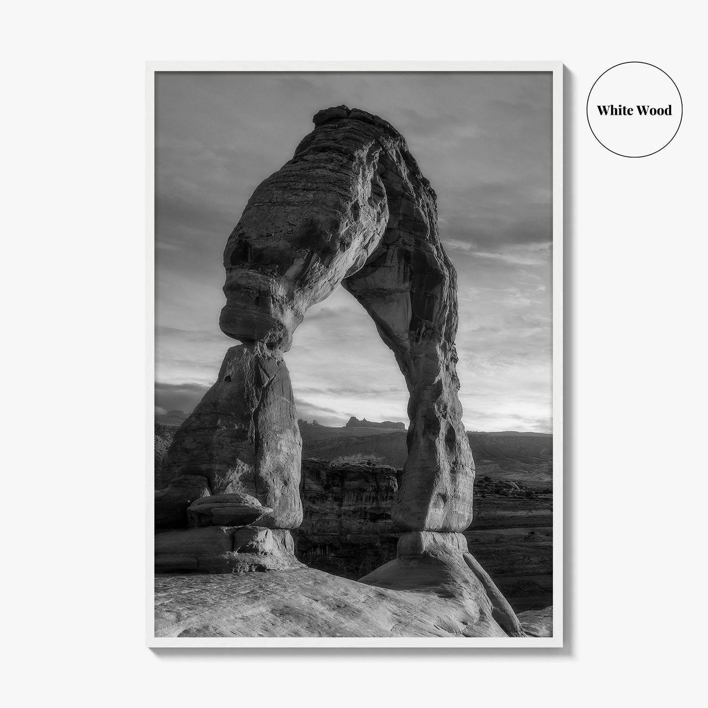 Delicate Arch Black and White Fine Art Photo Print, Arches National Park, Wall Poster