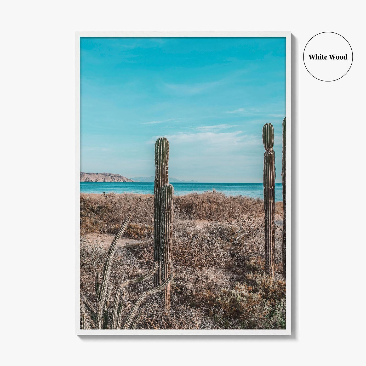 La Paz Fine Art Photo Print, Baja California Sur, Sea of Cortez Mexico Poster