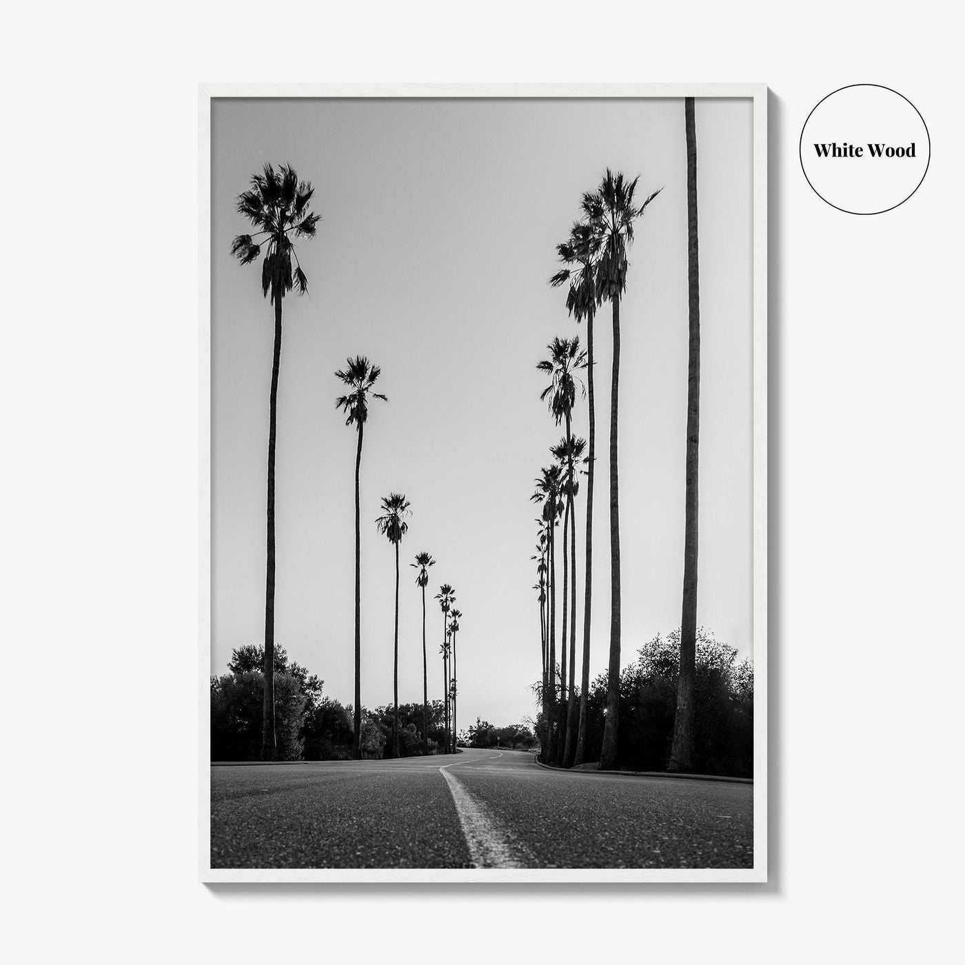 Elysian Park Black and White Fine Art Photo Print, Los Angeles California Poster
