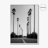 Elysian Park Black and White Fine Art Photo Print, Los Angeles California Poster