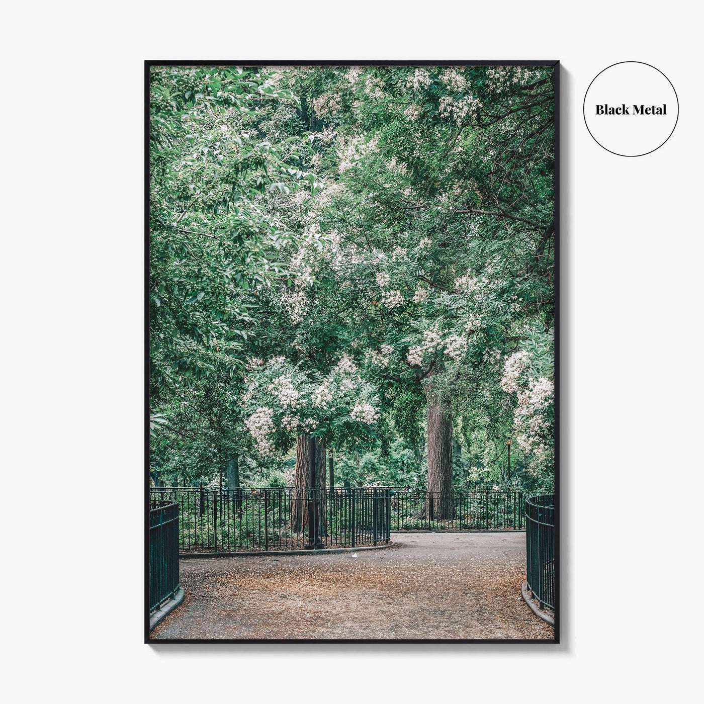 Tompkins Square Park Fine Art Photo Print, East Village NYC, Manhattan Poster, USA