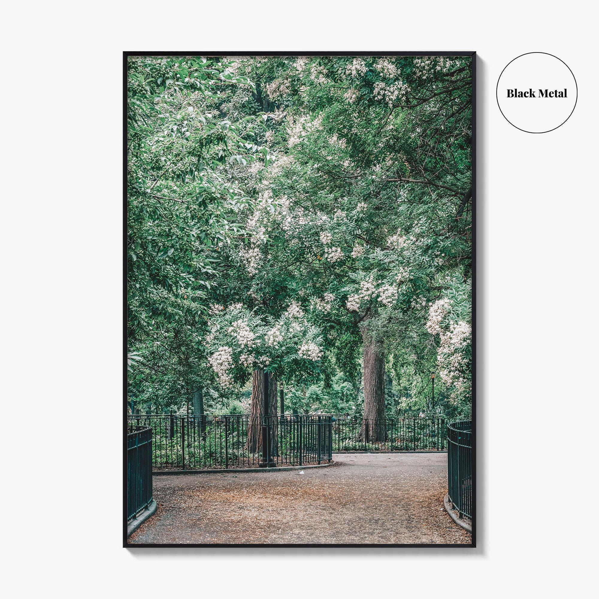 Tompkins Square Park Fine Art Photo Print, East Village NYC, Manhattan Poster, USA