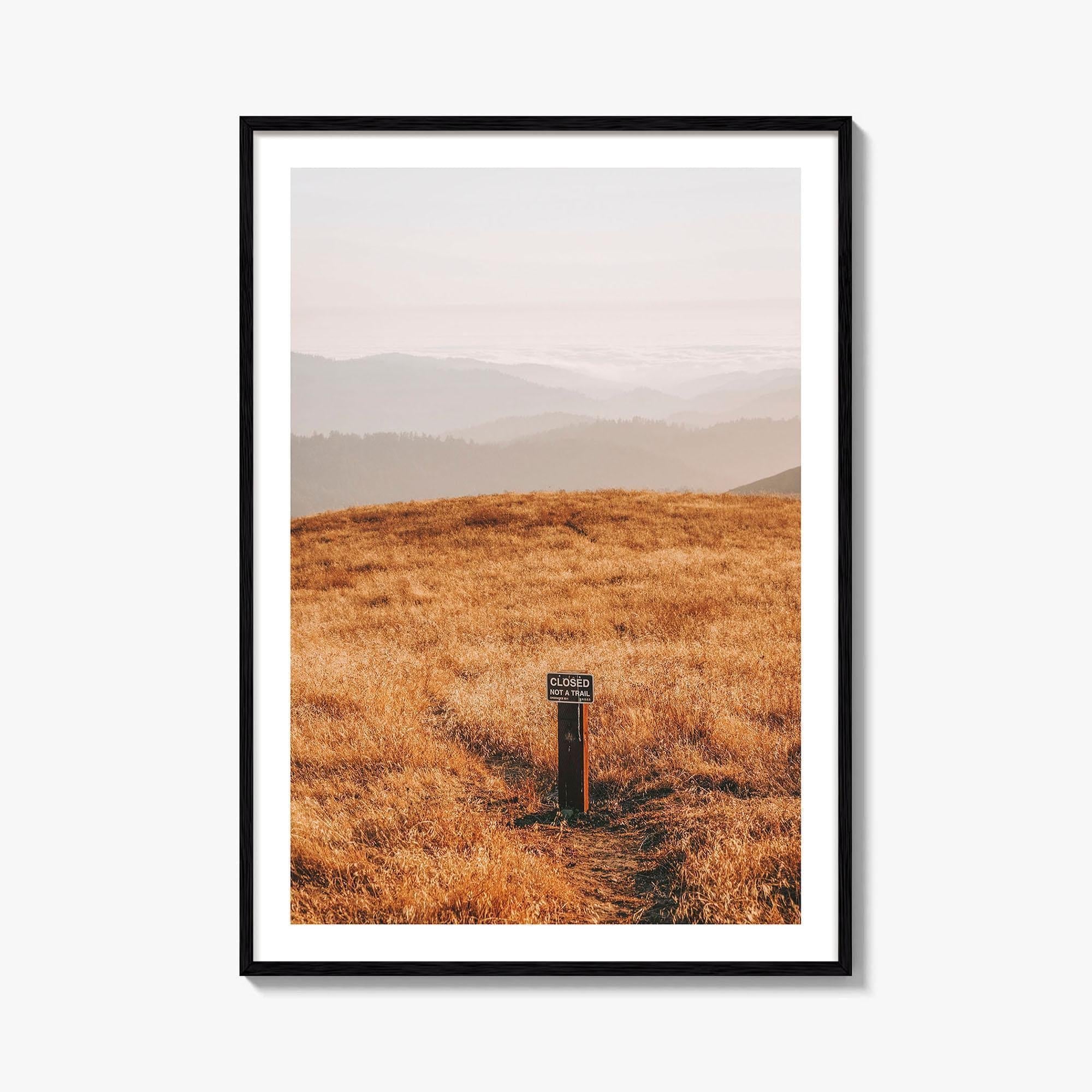 Borel Hill Fine Art Photo Print, Santa Cruz Mountains California USA, Mountain View, Poster