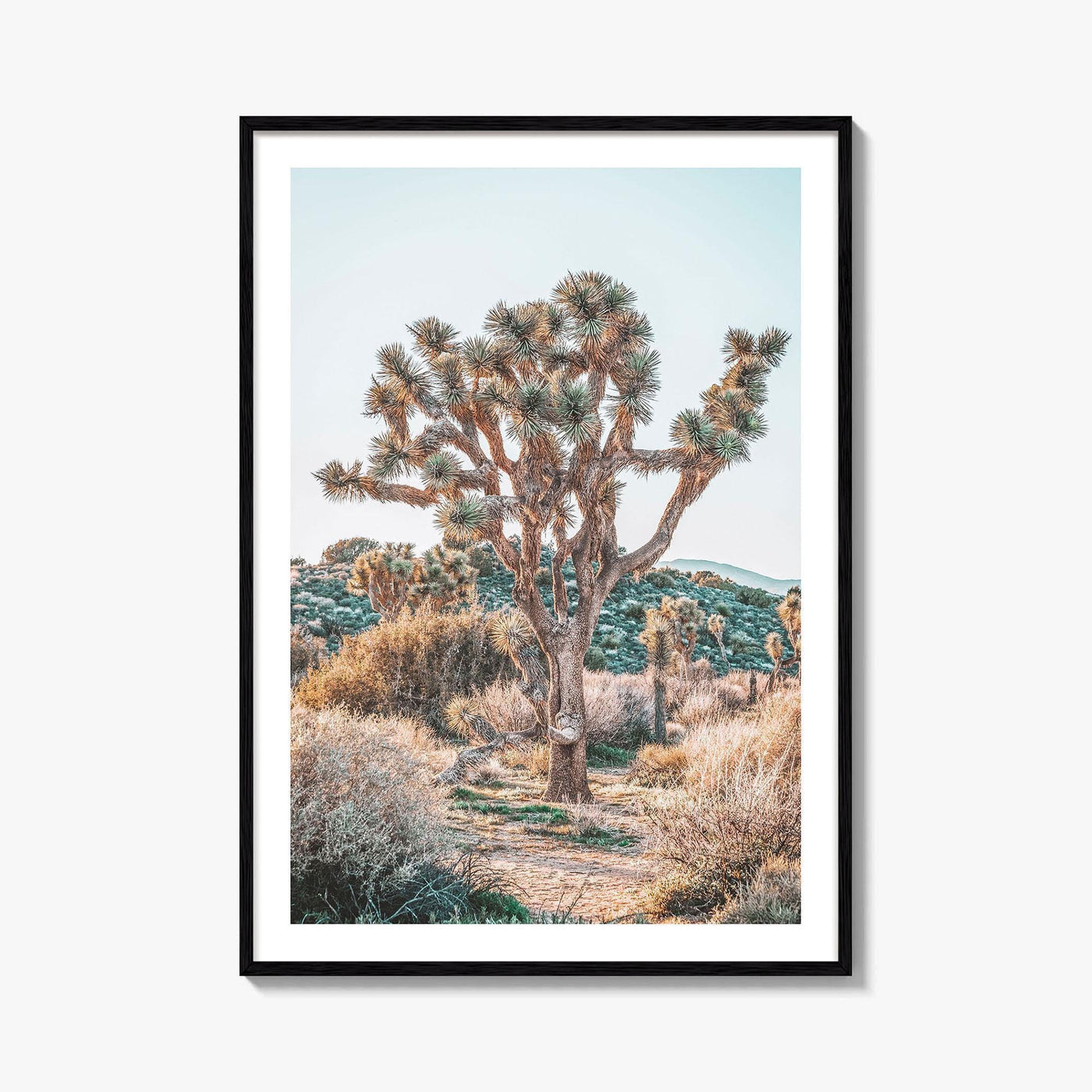 Joshua Tree National Park Fine Art Photo Print, California Desert Poster, Palm Springs