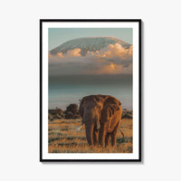 Mount Kilimanjaro Fine Art Photo Print, Elephant, Tanzania, Africa, Wildlife Poster