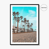 Venice Beach Fine Art Photo Print, Los Angeles California Wall Decor, Palm Tree