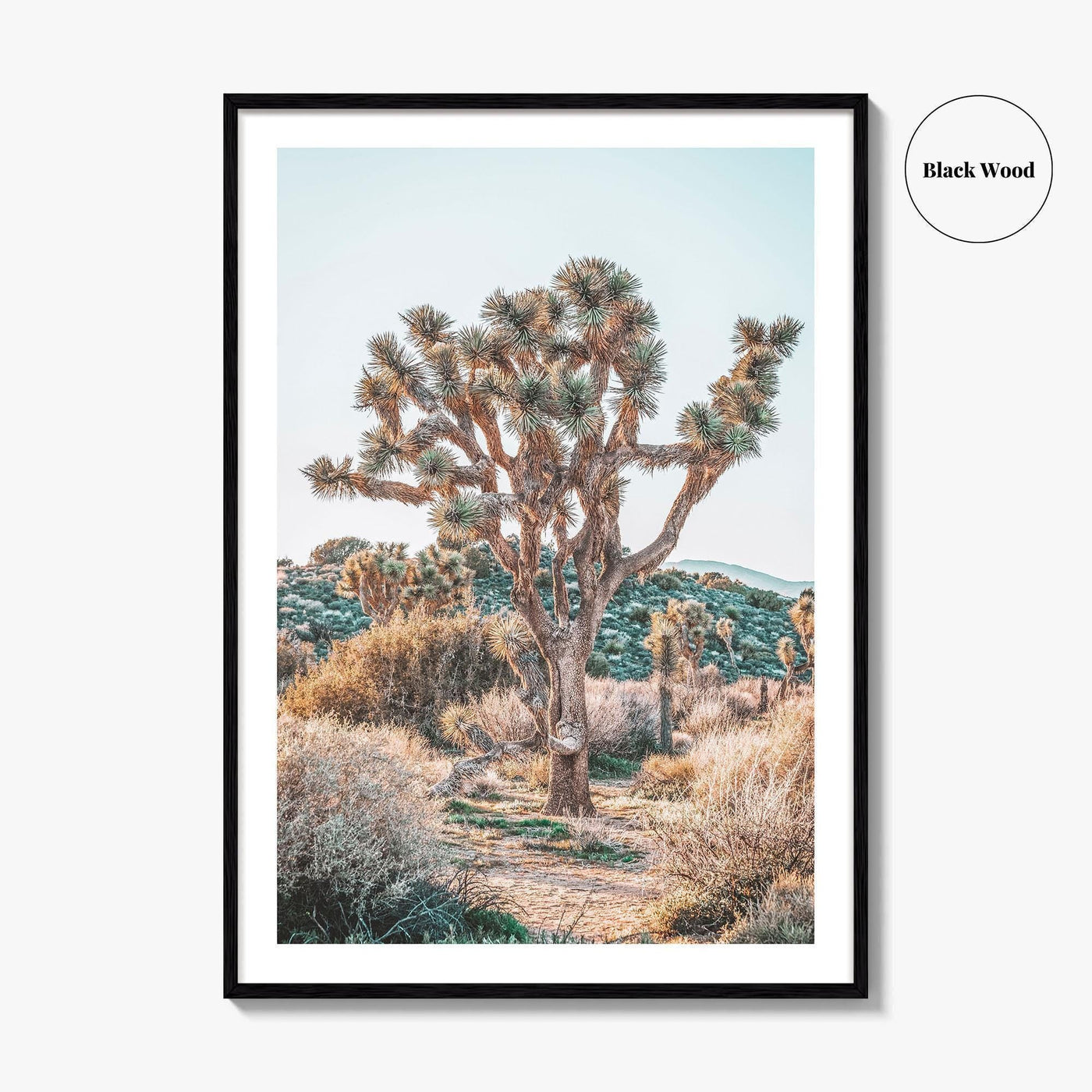 Joshua Tree National Park Fine Art Photo Print, California Desert Poster, Palm Springs