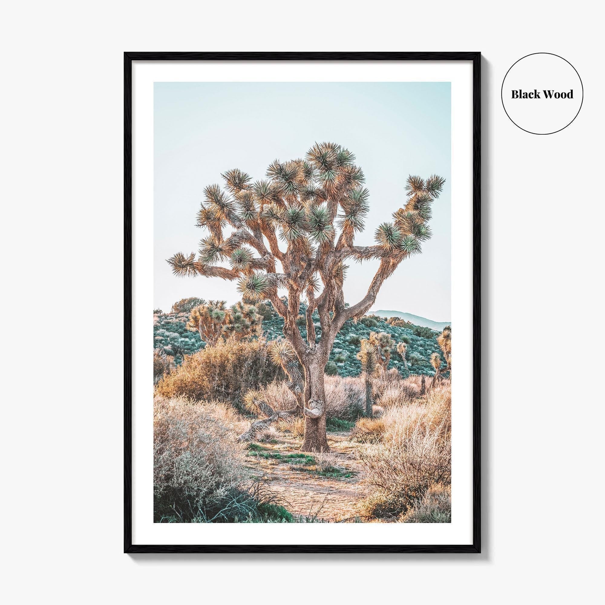 Joshua Tree National Park Fine Art Photo Print, California Desert Poster, Palm Springs