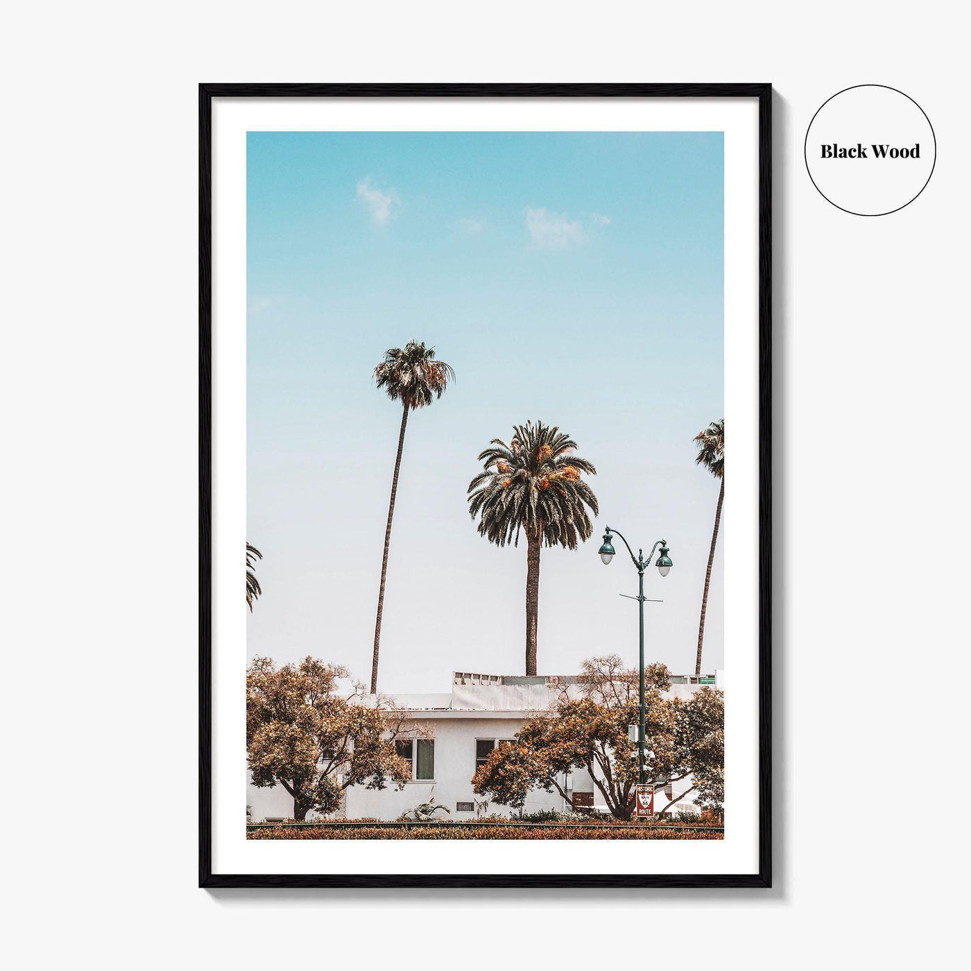 Los Angeles Blue Fine Art Photo Print, California Wall Poster, LA Palm Trees, USA