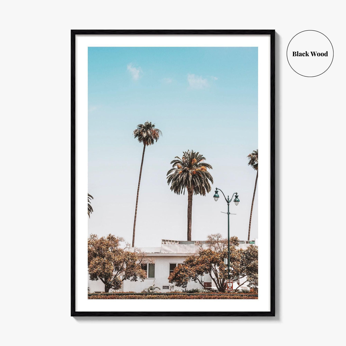 Los Angeles Blue Fine Art Photo Print, California Wall Poster, LA Palm Trees, USA