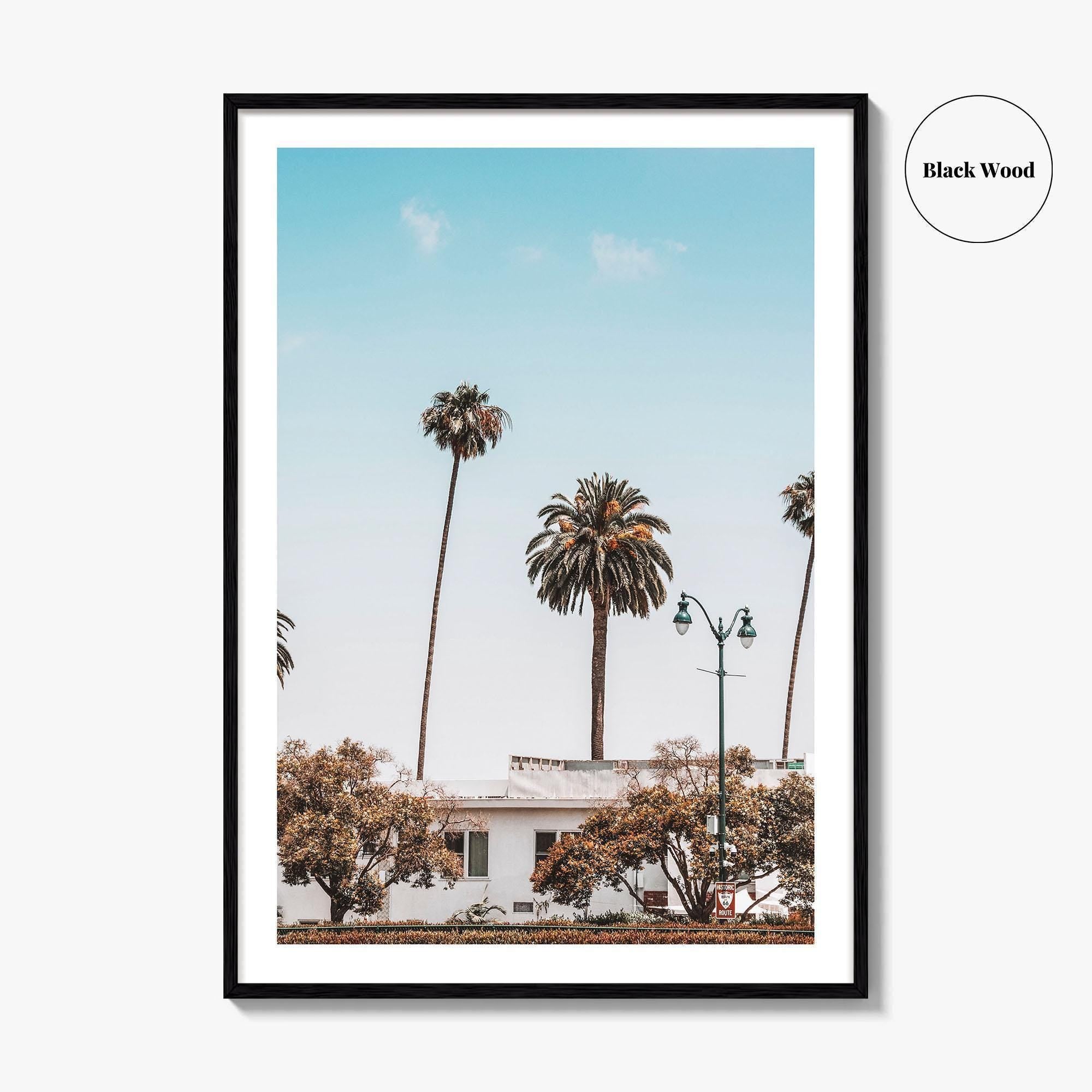 Los Angeles Blue Fine Art Photo Print, California Wall Poster, LA Palm Trees, USA