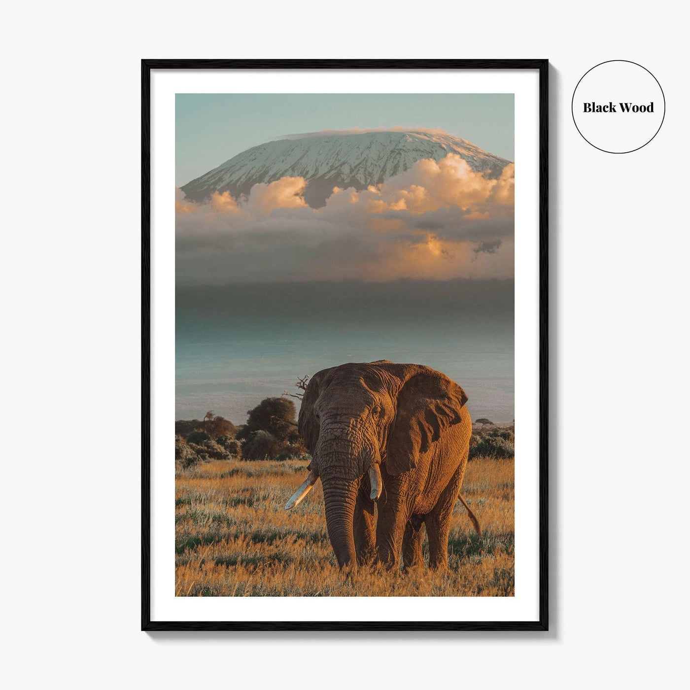 Mount Kilimanjaro Fine Art Photo Print, Elephant, Tanzania, Africa, Wildlife Poster