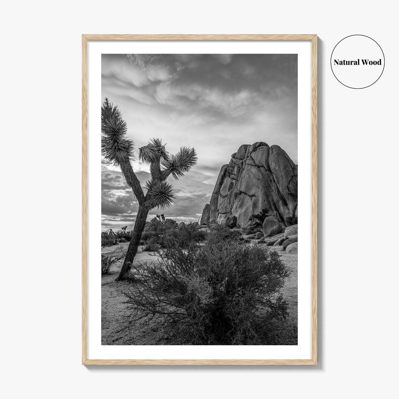 Joshua Tree Black and White Fine Art Photo Print, California Desert Poster
