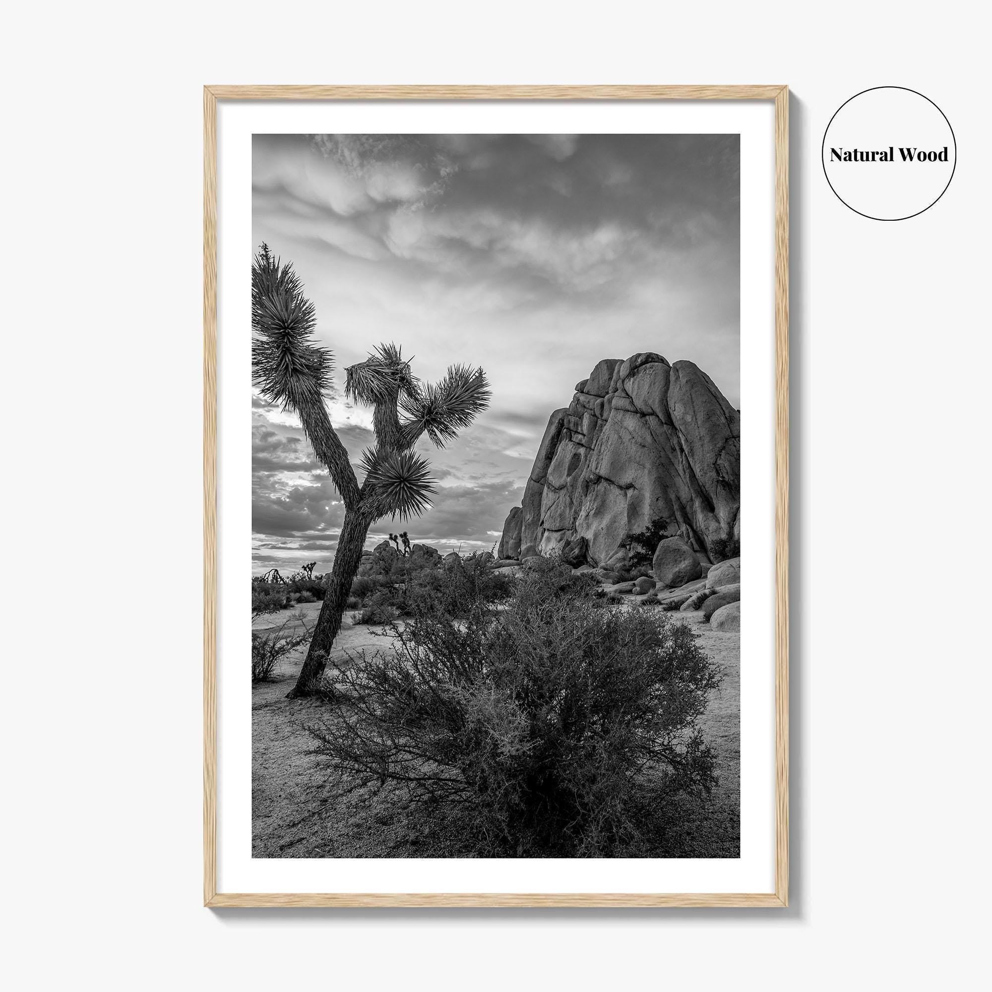 Joshua Tree Black and White Fine Art Photo Print, California Desert Poster