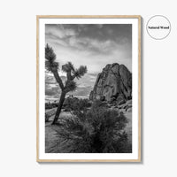 Joshua Tree Black and White Fine Art Photo Print, California Desert Poster