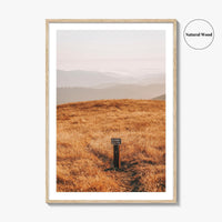 Borel Hill Fine Art Photo Print, Santa Cruz Mountains California USA, Mountain View, Poster