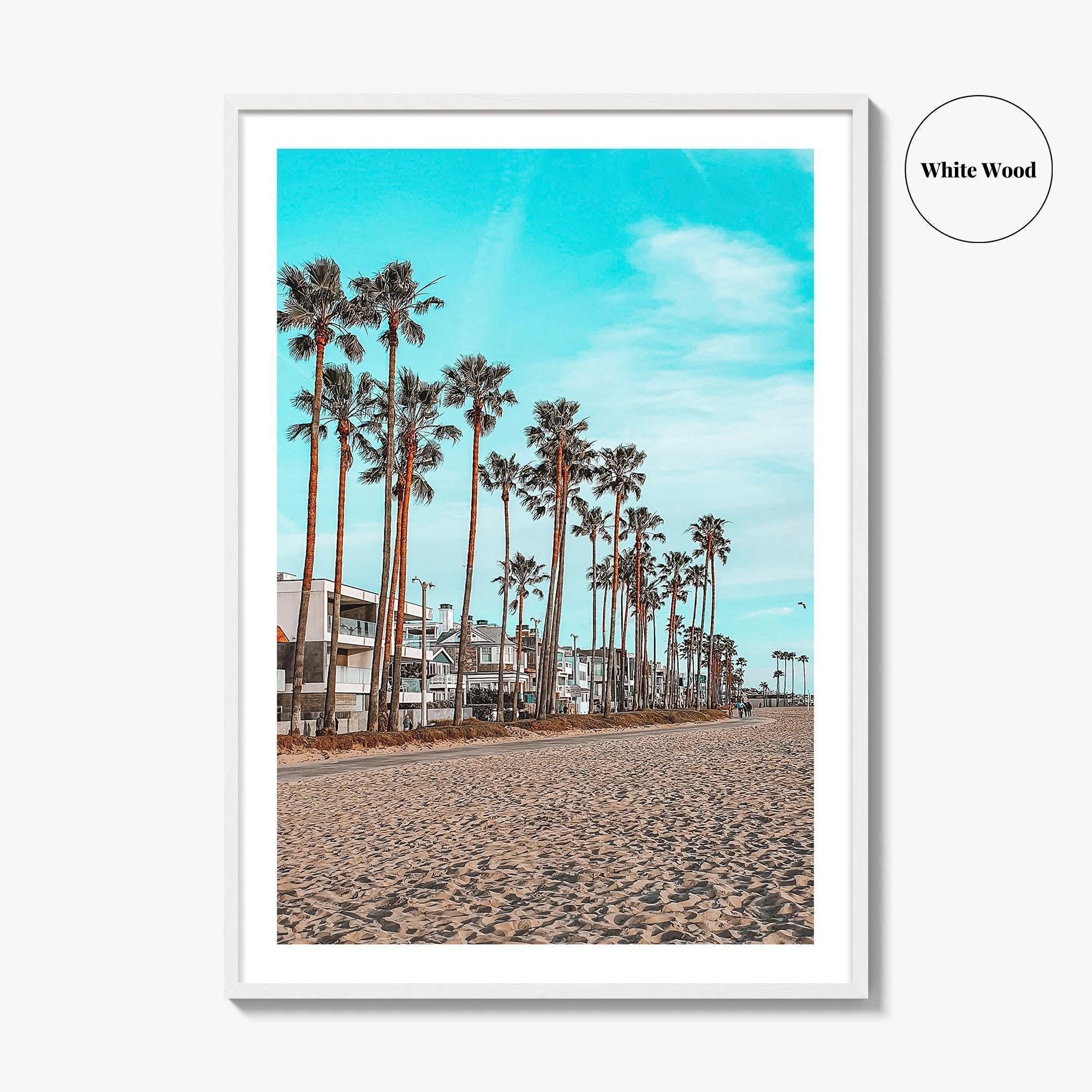 Venice Beach Fine Art Photo Print, Los Angeles California Wall Decor, Palm Tree
