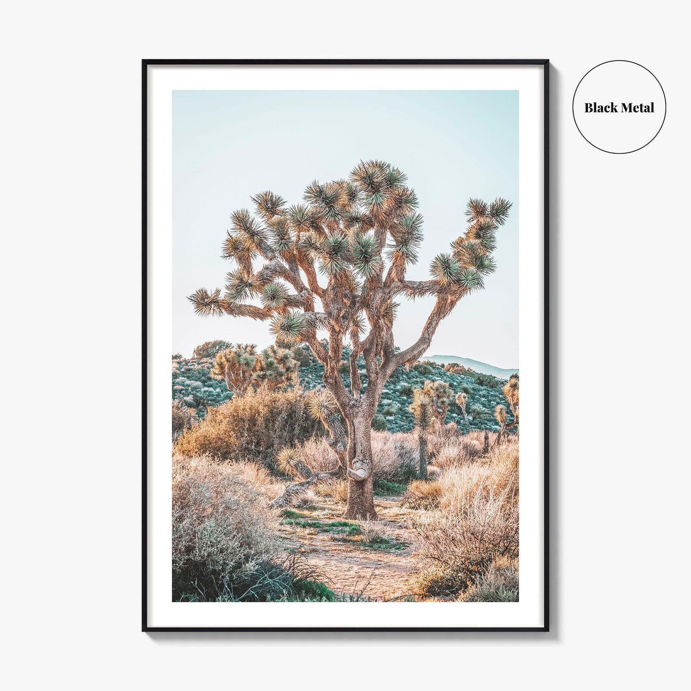 Joshua Tree National Park Fine Art Photo Print, California Desert Poster, Palm Springs