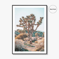 Joshua Tree National Park Fine Art Photo Print, California Desert Poster, Palm Springs