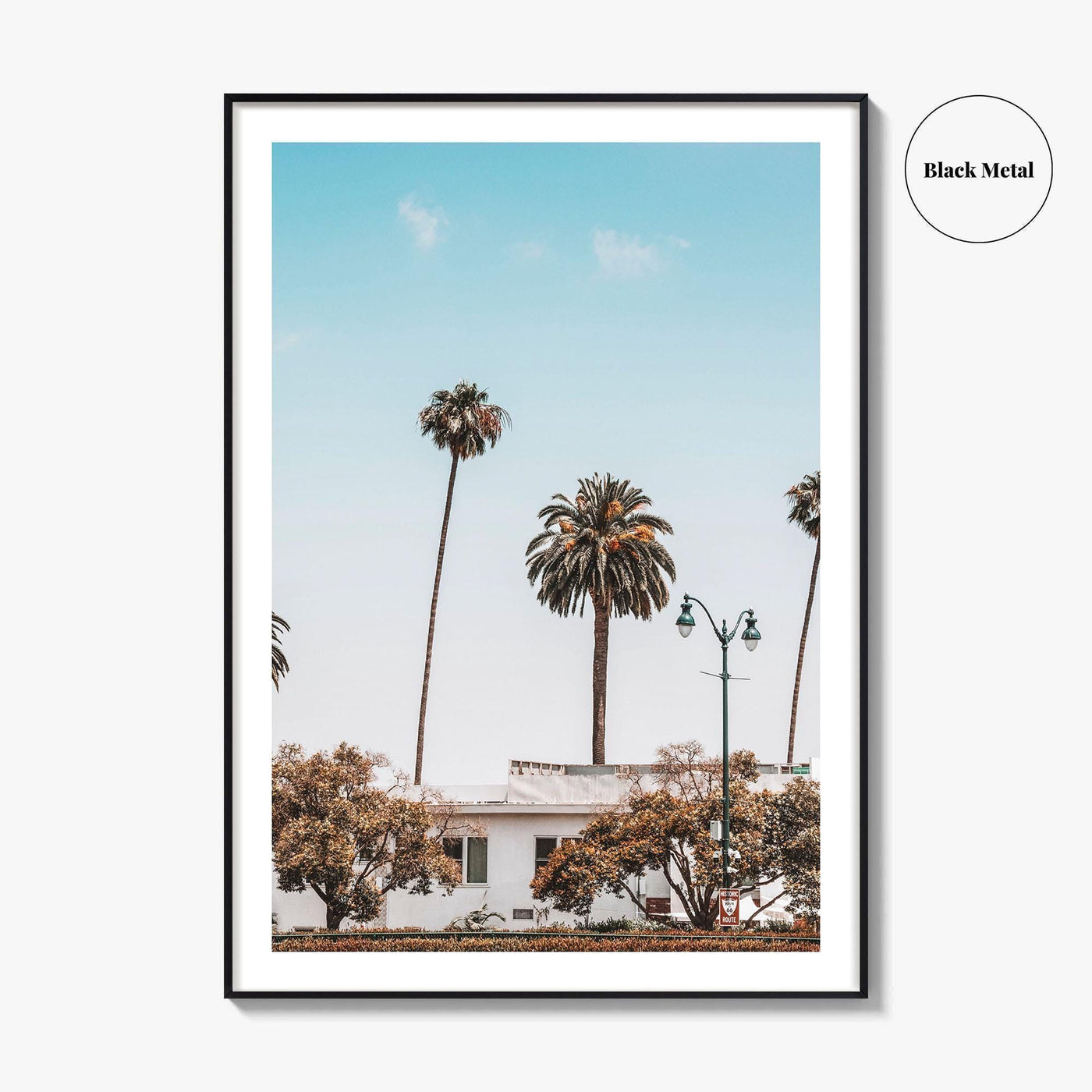 Los Angeles Blue Fine Art Photo Print, California Wall Poster, LA Palm Trees, USA